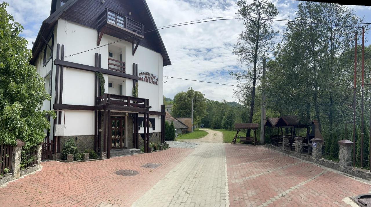 Pensiunea Miruna Moieciu de Jos Zewnętrze zdjęcie